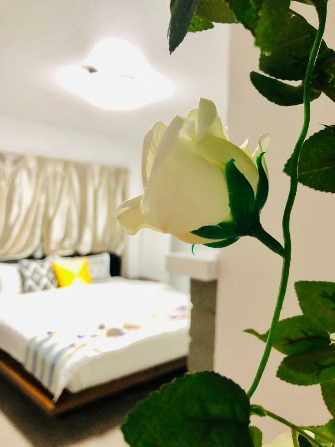 Westminster Holiday Home روتوروا المظهر الخارجي الصورة